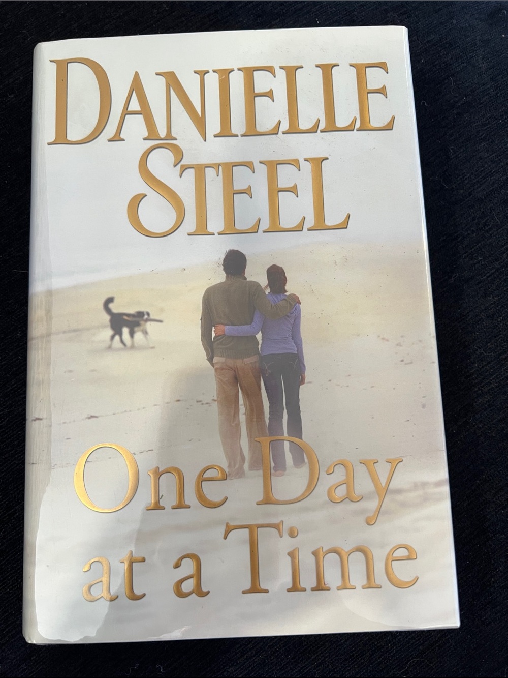 Danielle Steel One Day at a Time A Novel